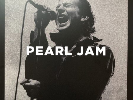 Pearl Jam - Bridging The Gap (2LP) For Cheap