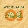 Wiz Khalifa - Kush & Orange Juice (2LP)(Coloured) Hot on Sale