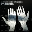 A Place To Bury Strangers - Synthesizer Supply