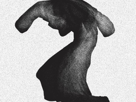 Yeasayer - Fragrant World (2LP) on Sale